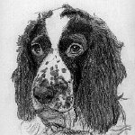 Jasper 1